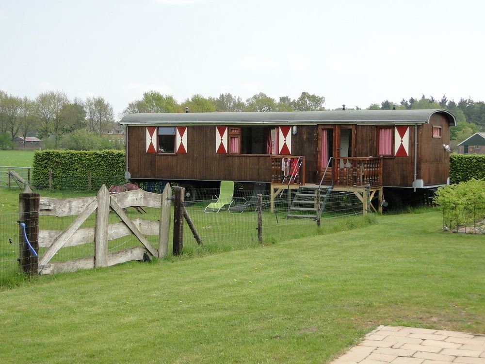 Erve Dikkeboer Bed & Breakfast Bathmen Dış mekan fotoğraf
